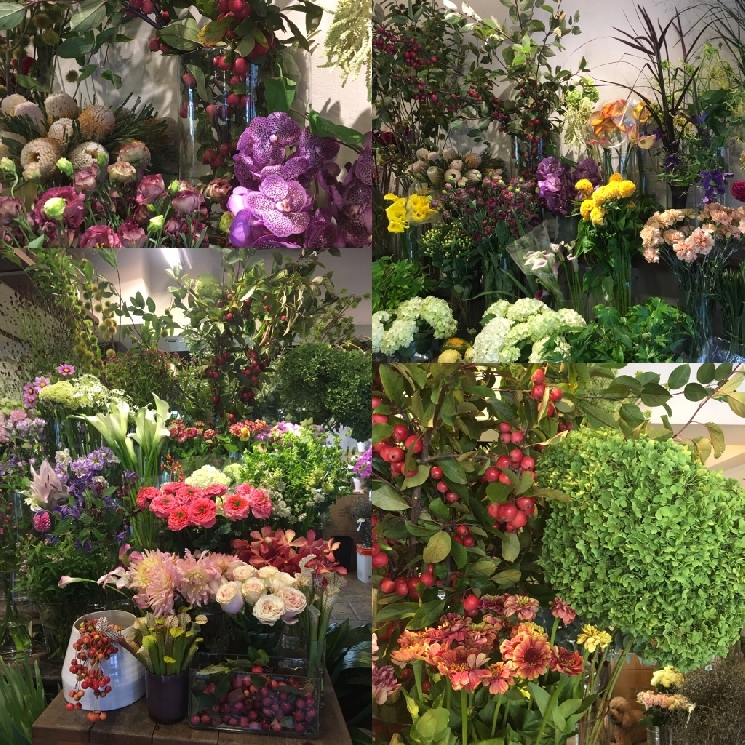 秋めいてますよ