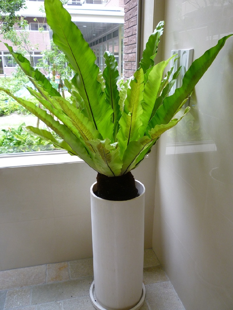 おかげさまで筋肉痛。