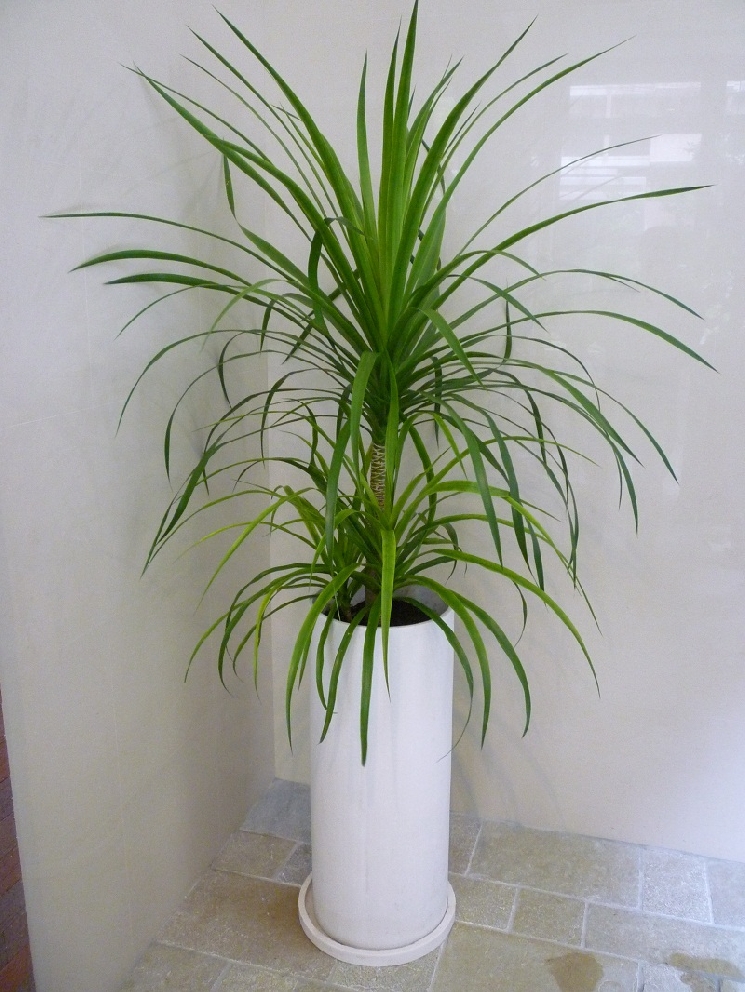 おかげさまで筋肉痛。