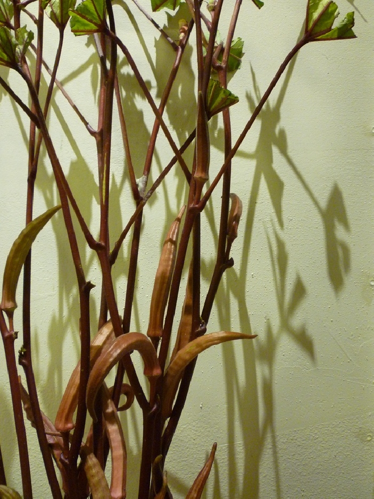 ネバネバ効果で夏バテ防止。