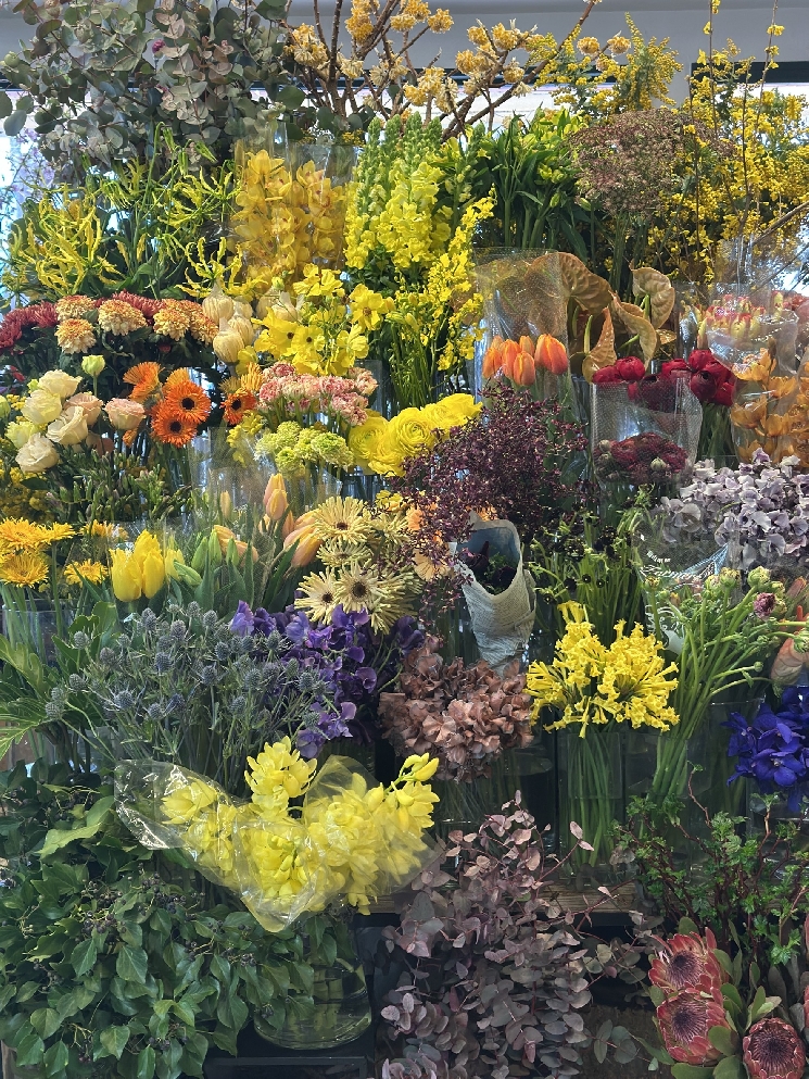 花匠からのお知らせ