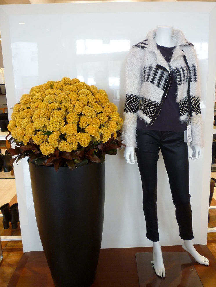 ＮＡＪＡ　ＦＩＯＲＥ　コレクション装花