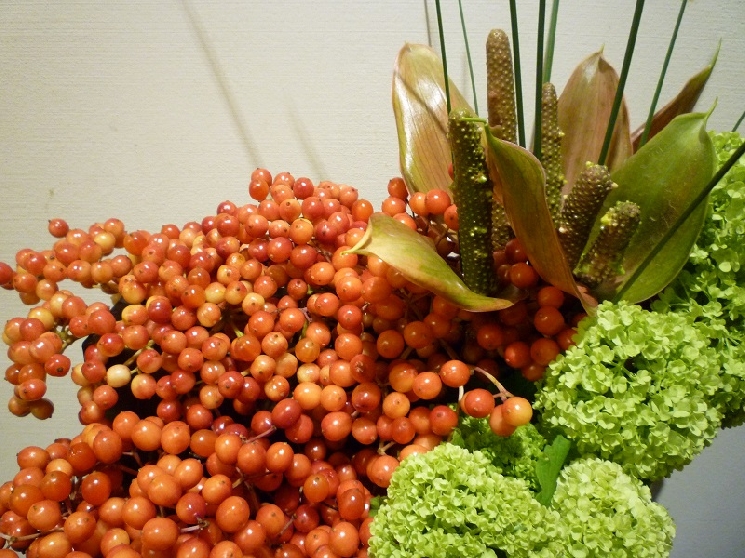 ブリブリコロコロ