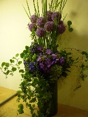 Display[ディスプレイ]