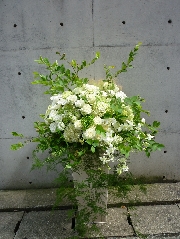 Arrangement[アレンジメント]