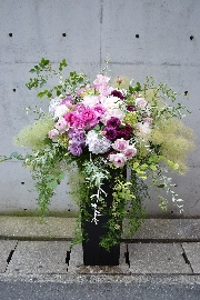 Arrangement[アレンジメント]