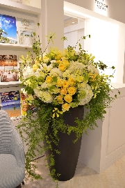 Arrangement[アレンジメント]