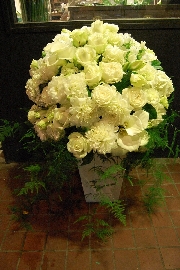 Arrangement[アレンジメント]