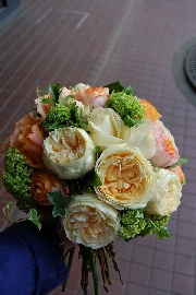 Bouquet[ブーケ]