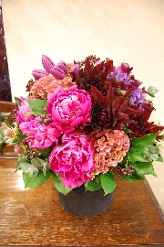 Arrangement[アレンジメント]