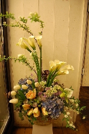 Arrangement[アレンジメント]