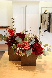 Display[ディスプレイ]