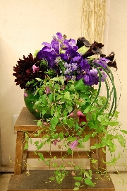 Display[ディスプレイ]