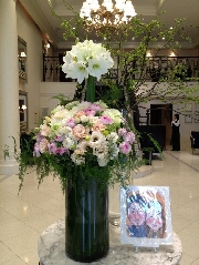 Display[ディスプレイ]