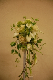 Bridal[ブライダル]